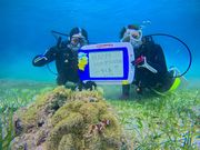 �{�Ó��_�C�r���OYOSHI(������[)�̎ʐ^3