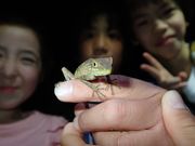 lC`[cA[ ܂܁[Ί_̎ʐ^4