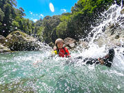 �܂�{�L���j�I�j���O�̎ʐ^2