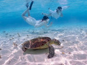 �R�[�����R�[���̎ʐ^2