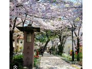 �A�C�A�[���g���x����ˉc�Ə�(������Ѓt�H�[���C�t)�̎ʐ^2