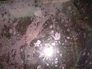 DȖ͗l`闕 Iߑ̌ *FH[ ^pԓ`̎ʐ^3