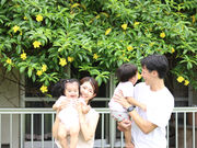 �g���� �����������̎ʐ^2