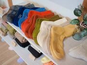 ������В˖{�̎ʐ^3