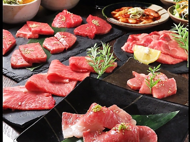 咷 techangum O{gA[hX̎ʐ^1