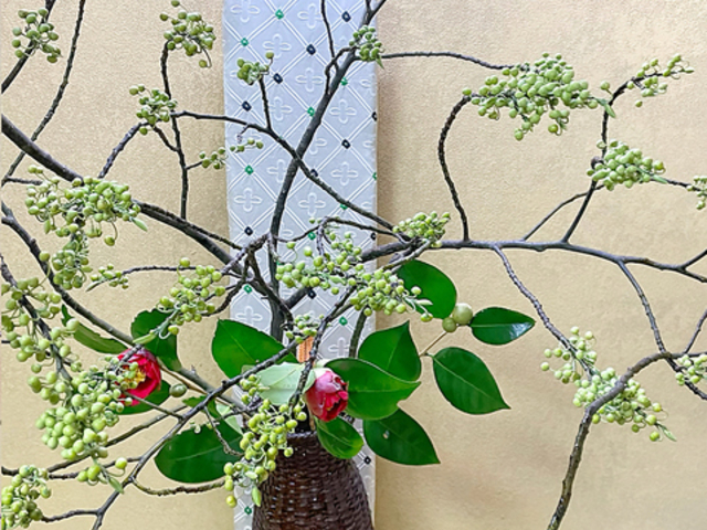 �͂����̎ʐ^1