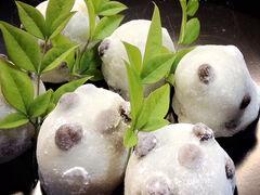 �͂����̎ʐ^1