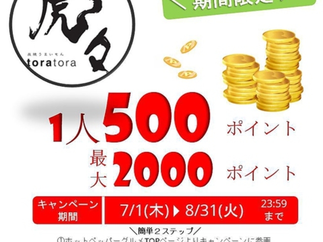 YĂ܂ ՁX SRwO̎ʐ^1