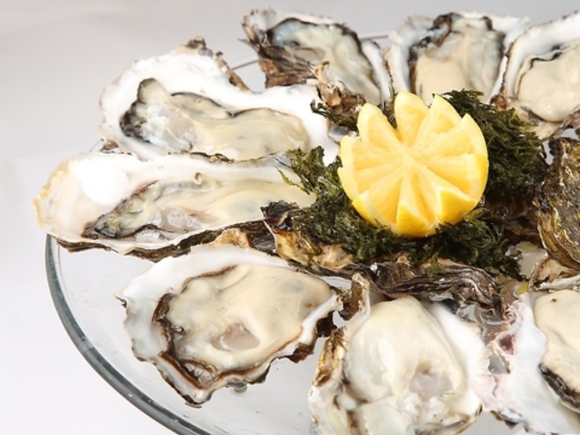 �}�K�[���H���̎ʐ^1