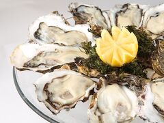 �}�K�[���H���̎ʐ^1