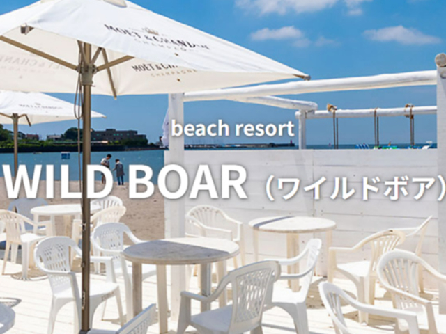 WILD BOAR Ch{A̎ʐ^1