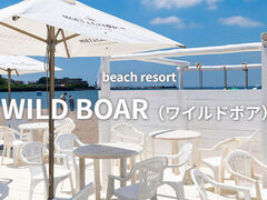 WILD BOAR Ch{A̎ʐ^1