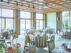 �A�}���_�� �e���X �A�c�̎ʐ^1