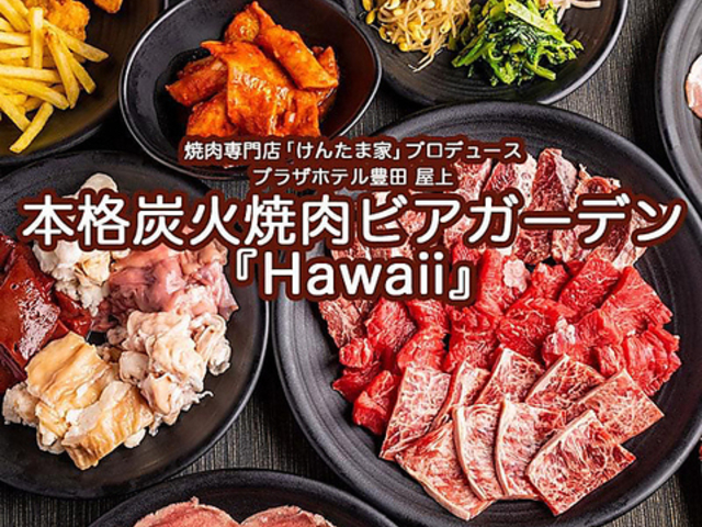 {iYΏērAK[f Hawaii̎ʐ^1