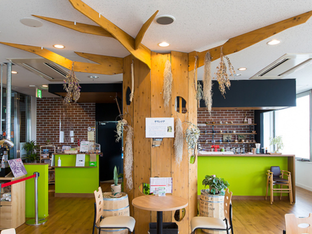 Cafe Restaurant Inti JtFXg CeB̎ʐ^1