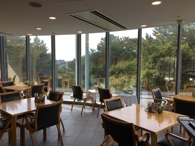 ���p�كJ�t�F ���V���}���̎ʐ^1