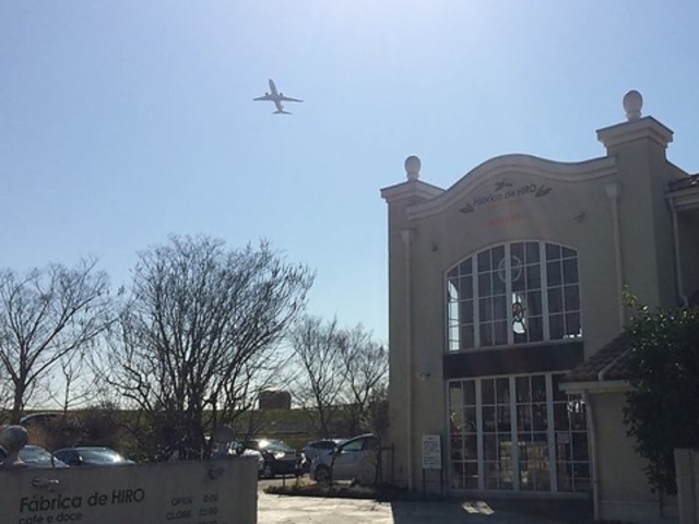 �q���R�[�q�[ �ɒO���Ȃ���X�̎ʐ^1