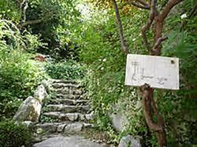 �����ʂ��ǂ��� ����ǂ̎ʐ^1