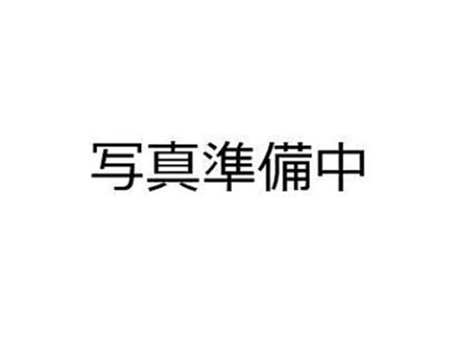 GB Tiger W[r[^CK[̎ʐ^1