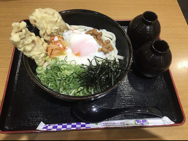 �˂� �߉ϐ�̎ʐ^1