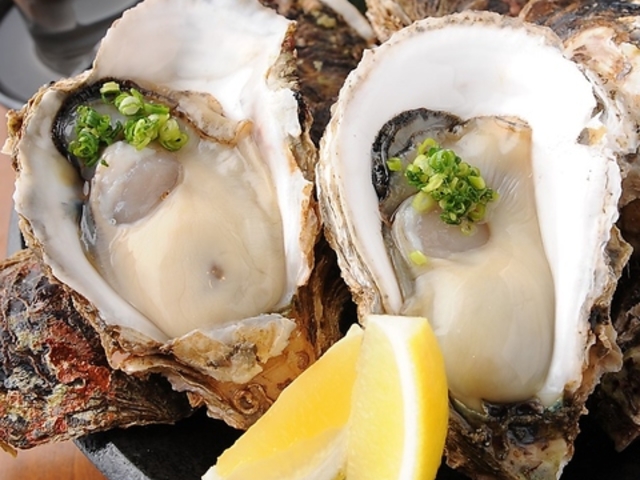 ���y�Ɠ��{�� �����̎ʐ^1