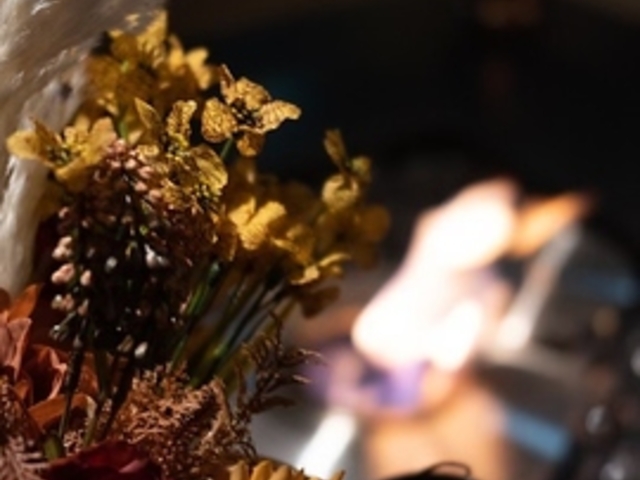 V[VJtF&o[ musch V_喼X̎ʐ^1