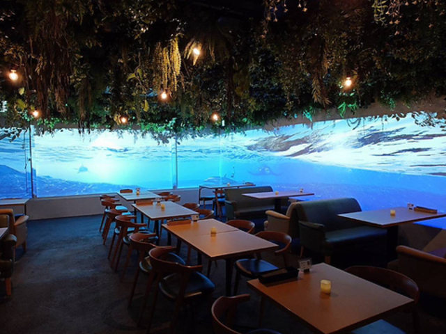 aruhi morinonaka AqmiJ̎ʐ^1