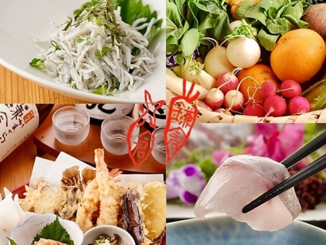 �a�� ���q ���q�����ʂ�X�̎ʐ^1