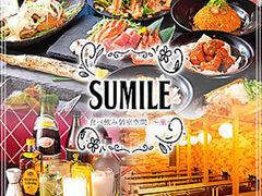 SUMILE ~cX̎ʐ^1