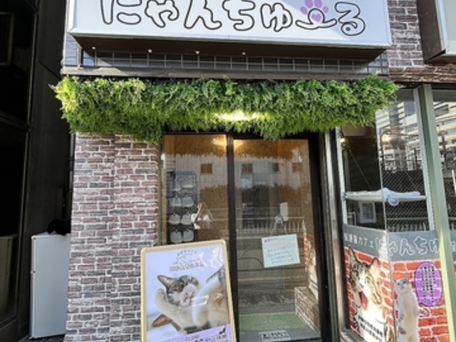 �ی�L�J�t�F �ɂ�񂿂�[��̎ʐ^1