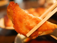 ���傤������Ƃ炿���̎ʐ^1