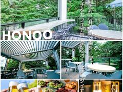 �g�ˎ� ��̓��e���X HONOO �z�m�I�̎ʐ^1