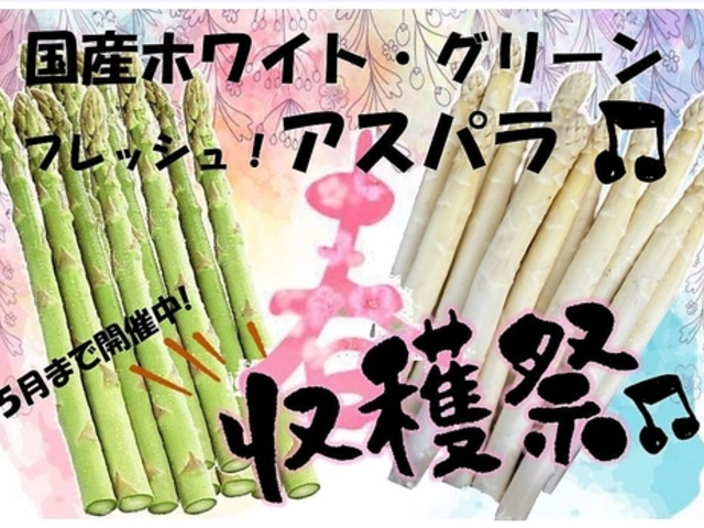 �A�� �t�H���g�D�[�i�̎ʐ^1