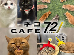 PARK72 �l�RCAFE�̎ʐ^1