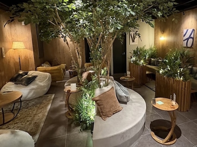 V[VJtF&o[ muse ~[Y ю̎ʐ^1