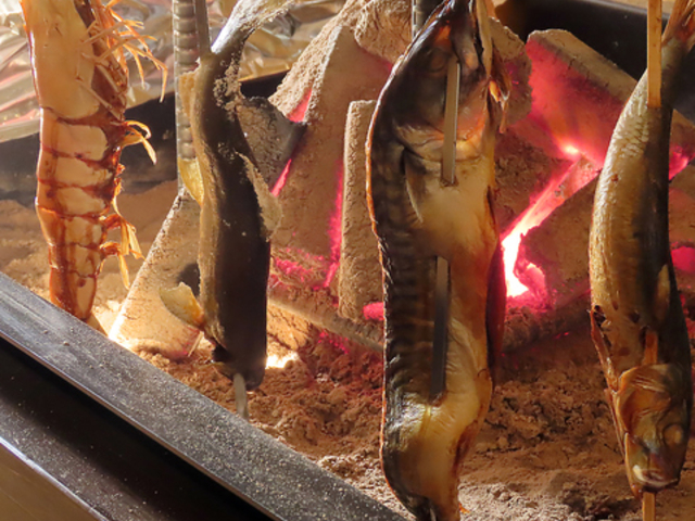  F[ { Sakura TN̎ʐ^1