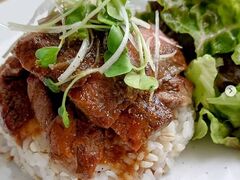 �X�e�[�L���C�X�ƃh���A�̓X FUJIHARA �t�W�n���̎ʐ^1