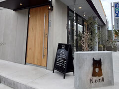 NorA m̎ʐ^1