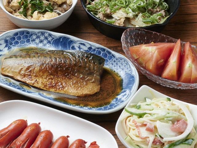 JIPSSHUSHU VV̎ʐ^1