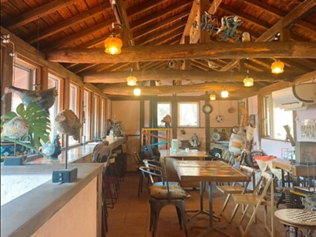 mana harree ܂Ȃ͂̎ʐ^1