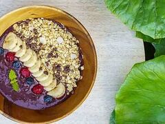 ALCHEMY アルケミーの写真1