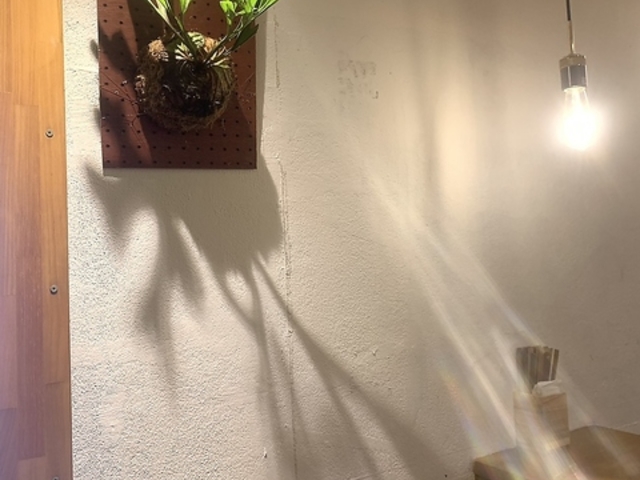 UNDER STACKS TOKYO �A���_�[�X�^�b�N�X�g�E�L���E�̎ʐ^1