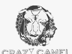bar CRAZY CAMEL NCW[L̎ʐ^1