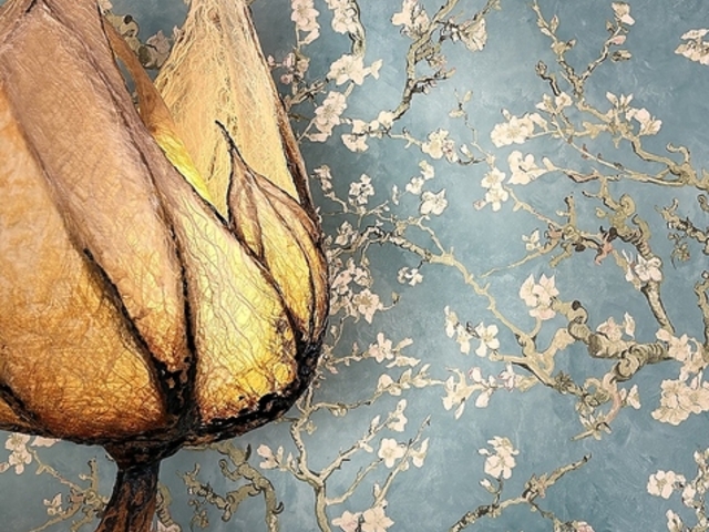 Kottee �R�b�e�B�[�̎ʐ^1