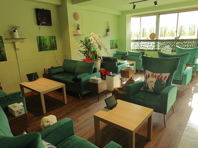 �X�̃V�[�V���̎ʐ^1