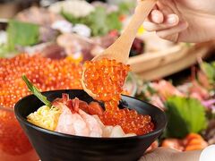 �X�J�C�_�C�j���O�l�G �z�e���E�B���O�C���^�[�i�V���i������w�O�̎ʐ^1