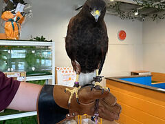 �A�j�}���J�t�FExoHouse �G�L�]�n�E�X�̎ʐ^1