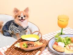 GRatia N グラティアンの写真1