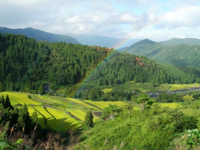 �I�c_���ĒI�c