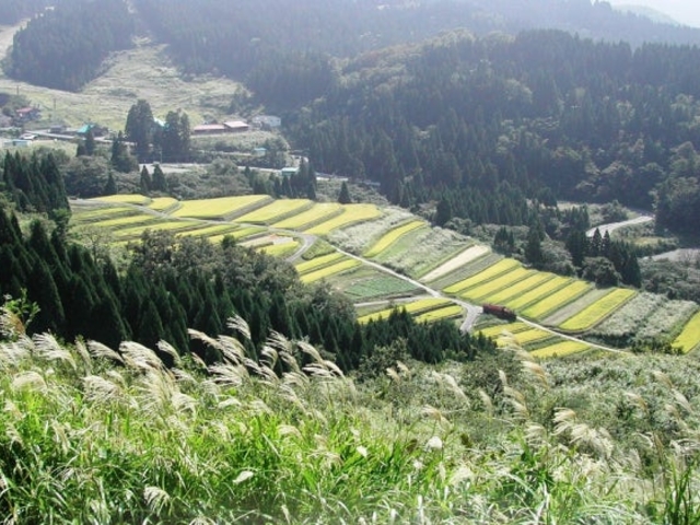 �I�c_���ĒI�c